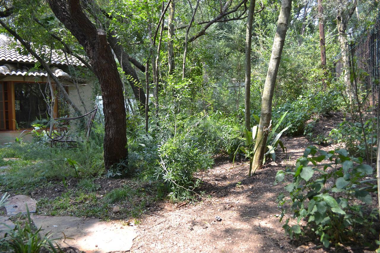 Lydall Wild Tranquil Garden Suites Johannesburg Dış mekan fotoğraf